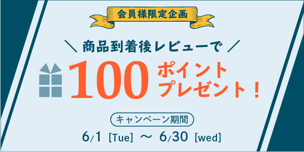 【会員様限定】商品レビュー記念★100ポイントプレゼント！